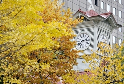 母親が実の娘を8年間軟禁、札幌