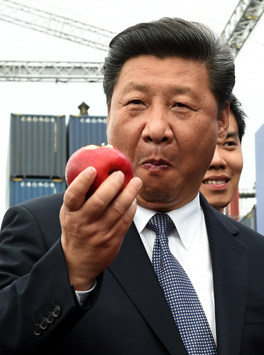 習国家主席の名を冠した新種昆虫、検閲で黙殺 中国