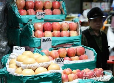 韓国政府、秋夕の物価対策に900億ウォン追加…水産物2万2000トン供給へ