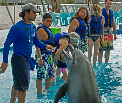 イルカと触れあう休日、メキシコのリゾート地で