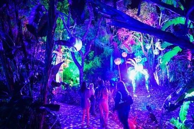 植物園で光のアート 米カリフォルニア