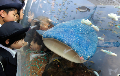 製菓専門学校生が作ったスイートな水族館