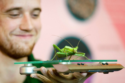 体重を量るのも一苦労？年に1度の身体測定 ロンドン動物園