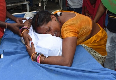 急性脳炎で死亡の子ども152人に、ライチが原因か インド