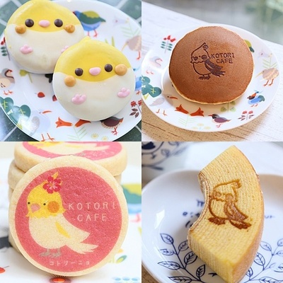 関西初！インコドーナツも登場、「ことりカフェ」が3日から大阪に登場