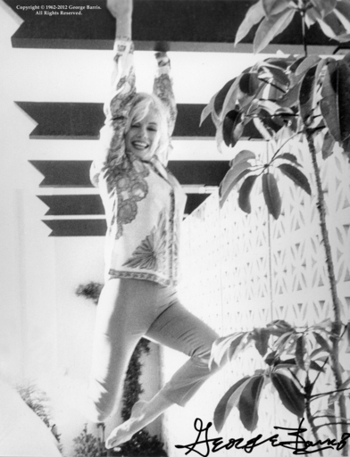 マリリン・モンロー没後50年、ハリウッドで展覧会