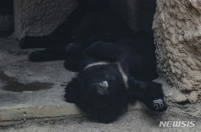 写真は記事の内容とは関係ありません(c)NEWSIS