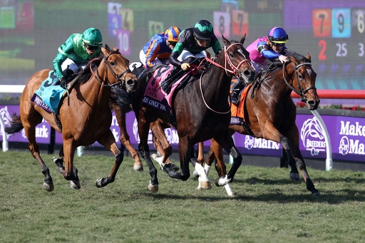 ラヴズオンリーユーがブリーダーズカップ制覇 日本馬初の快挙 写真9枚 国際ニュース：AFPBB News