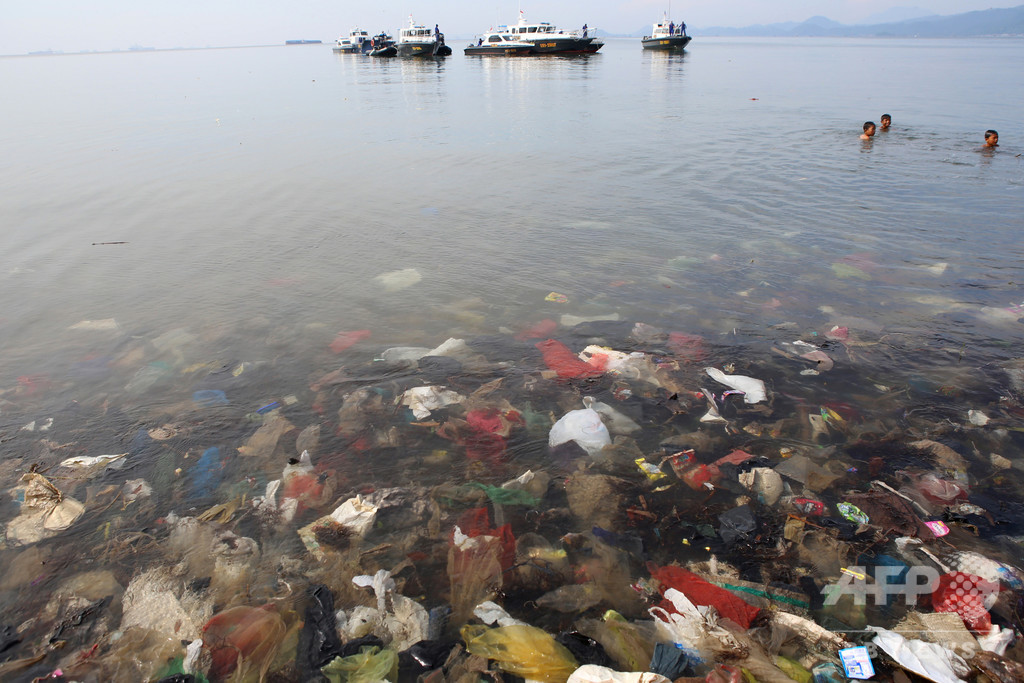 世界最深部の生物もプラスチック汚染 研究 世界最深部の生物もプラスチック汚染 研究