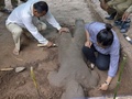 カンボジア・シエムレアプ郊外にある寺院遺跡群アンコールワットで発掘される像。アンコール地域遺跡整備機構提供（2017年7月30日撮影、8月1日公開）。(c)AFP/APSARA AUTHORITY