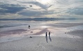 米ユタ州にあるグレートソルト湖で、水位が低下して塩分濃度が高まり水がピンク色になった場所（2024年9月9日撮影）。(c)Frederic J. BROWN / AFP
