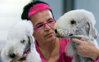 ワンちゃんネコちゃん大集合、ドイツ・ライプチヒ