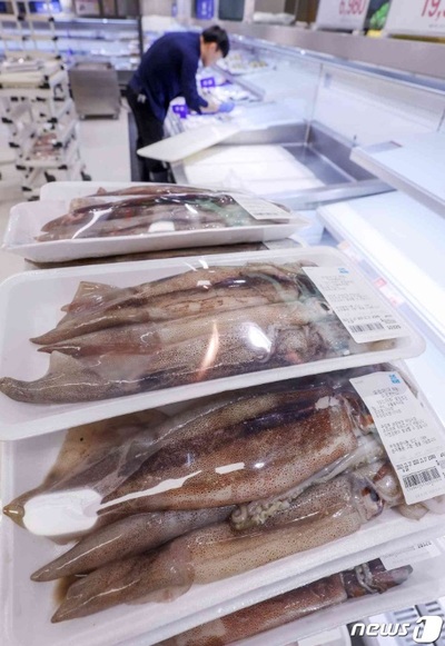 韓国・漁獲不振でイカが高嶺の花に…冷凍品中心に