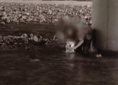 韓国の水遊びスポットで愛犬にシャンプー…入浴後、そのまま水中を歩き回る
