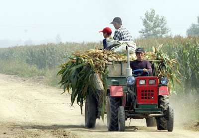ゴキブリ100万匹が養殖施設から逃げ出す、中国
