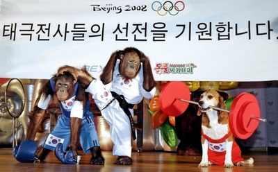 体育会系のサルとイヌ、北京五輪出場選手を応援