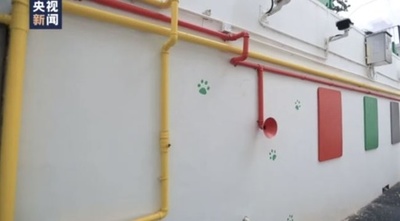 中国上海、古い住宅団地が「骨董品博物館」に