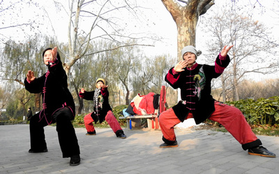 無形文化遺産に登録された中国の太極拳 流派超えた「太極拳の標準化」機運高まる