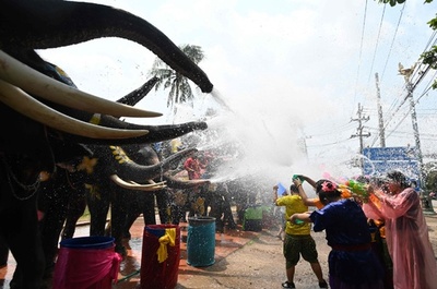 新年祝う祭り「ソンクラーン」控えたタイ、ゾウと水掛け合戦