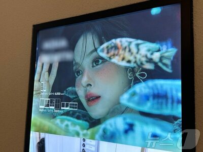 「SNS映え」か「生き物愛護」か…ソウルで話題のスポット「水槽無人写真館」の光と影