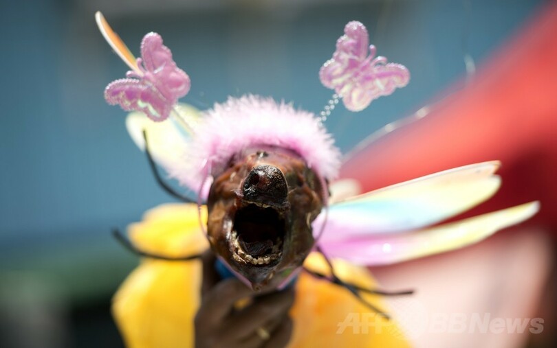 ブタの丸焼きが街を練り歩く、比マニラ