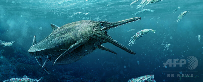 1億7000万年前の 海の怪物 化石復元 スコットランド 写真1枚 国際ニュース Afpbb News