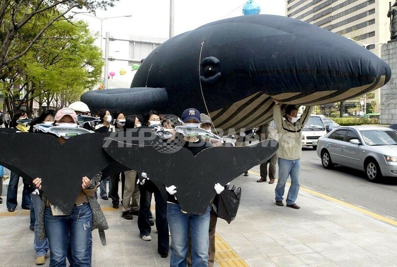 鯨肉違法取引事件で3人逮捕、韓国