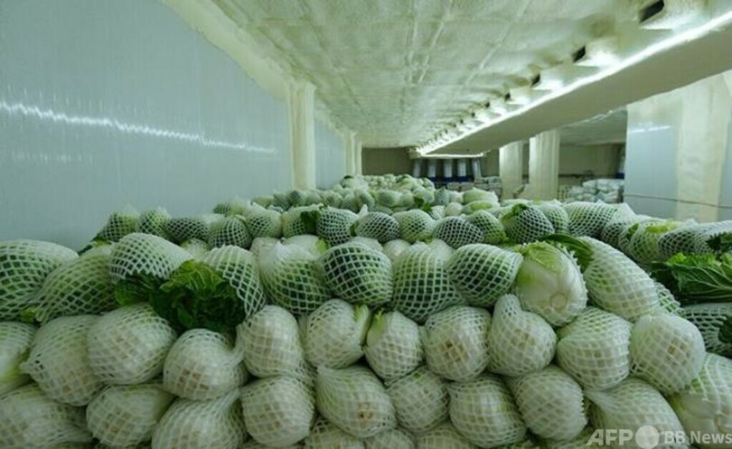 中国産野菜 ラオスで人気商品に