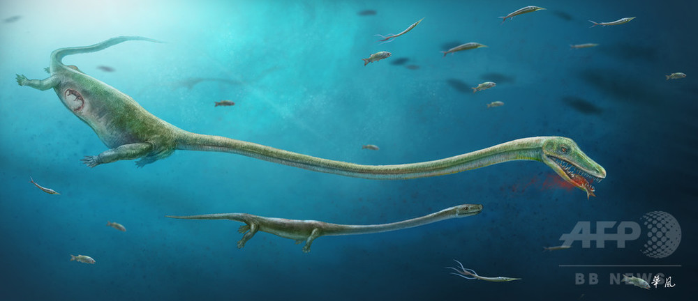 皮をはがれた爬虫類の化石の新たな分析により、信じられないほどの偽造が明らかになった