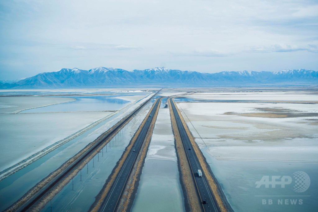 柿本ケンサク「TRANSLATOR」展、代官山ヒルサイドテラスで1月16日から