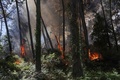 フランス南西部で起きた山火事（2022年6月13日撮影）。(c)Thibaud MORITZ / AFP