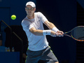 テニス男女混合国別対抗戦、第27回ホップマンカップ（Hopman Cup XXVII）4日目、英国対ポーランド。リターンを狙うアンディ・マレー（Andy Murray、2015年1月7日撮影）。(c)AFP/TONY ASHBY