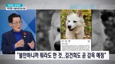 「ファーストレディも収監されるべきだ」…韓国野党議員が主張「その時、愛犬は私が引き取る」