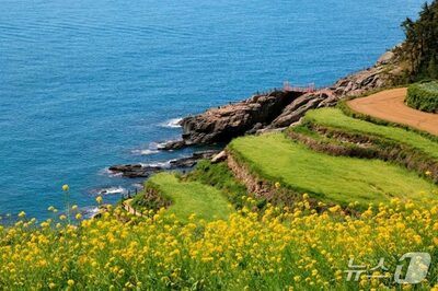 韓国人が選んだ「秋の遅バカンス」人気旅行地トップ3…国内は南海、海外は上海と宮古島