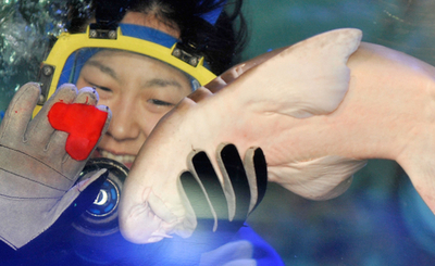 魚もバレンタインを満喫？ 都内水族館で限定餌付けショー