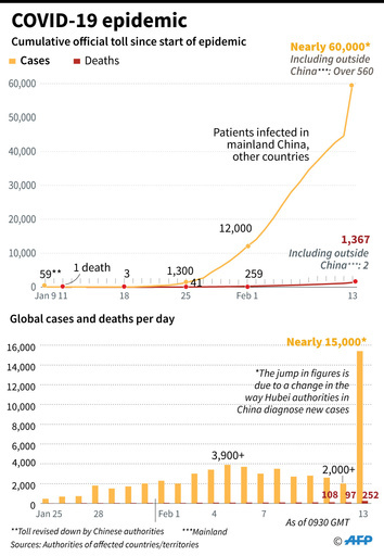 新型コロナウイルス、感染者が確認された国と地域（13日19時20分現在）