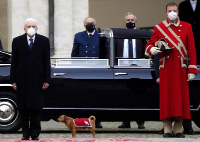 【今日の1枚】ワンちゃんも大統領をお出迎え、ローマの大統領府