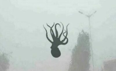 「高層ビルの窓ガラスにタコが…」台風のたびに韓国で出回る“不思議な有名ニセ写真”