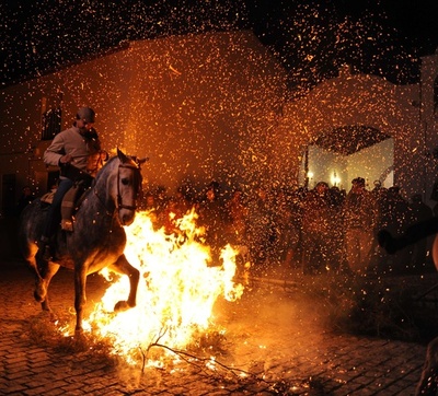 動物の守護聖人祭る儀式、スペイン各地で開催