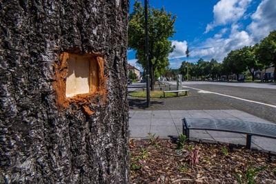 スロバキア首相銃撃、動機は「ウクライナ軍事支援の停止」