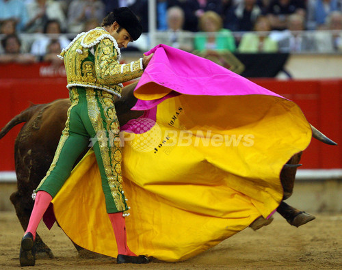 バルセロナ闘牛士の華麗な演技 写真9枚 ファッション ニュースならmode Press Powered By Afpbb News