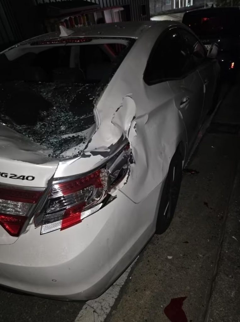 「ボベドリーム」(c)news1