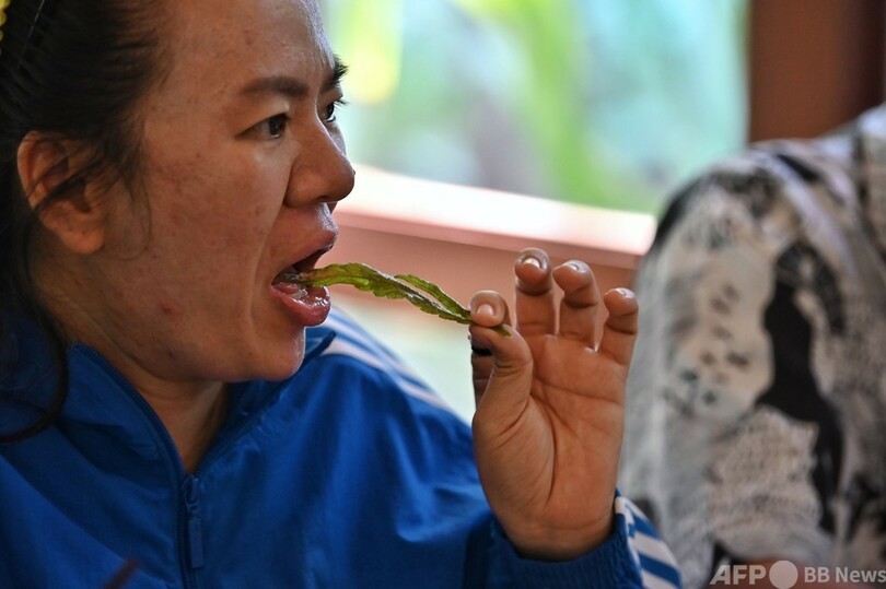 大麻料理で「ハッピー」に 病院で提供開始 タイ