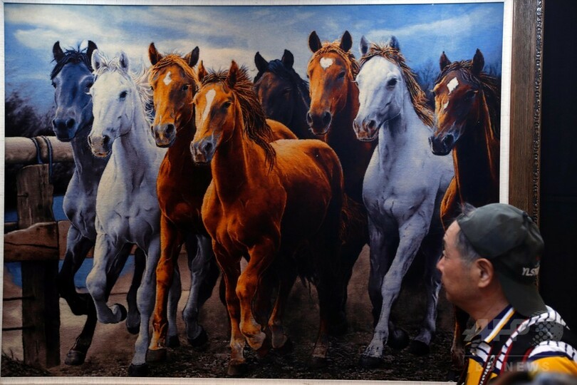 ロシア、セルビアなど参加「一帯一路」作品展、上海で開幕