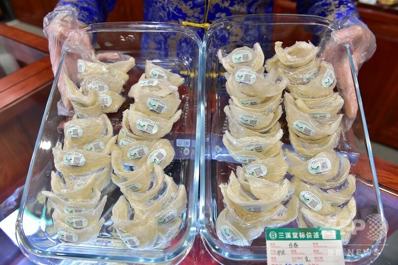 ツバメの巣の密輸で13人逮捕、総額629億円相当