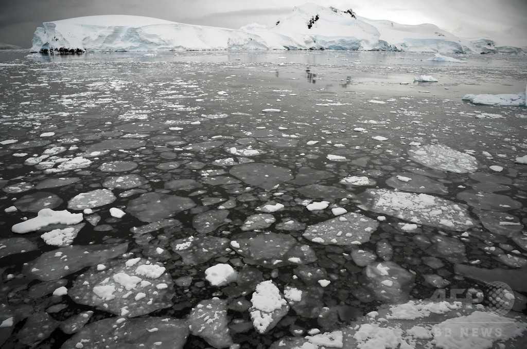 南極融解で1メートルの海面上昇、2100年までに 最新研究 南極融解で1メートルの海面上昇、2100年までに 最新研究