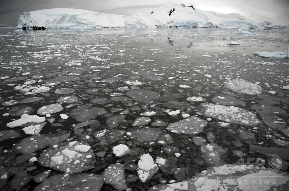 スウェイツ氷河の融解で2100年の海面上昇予測が約2倍に拡大 国際研究チーム発表