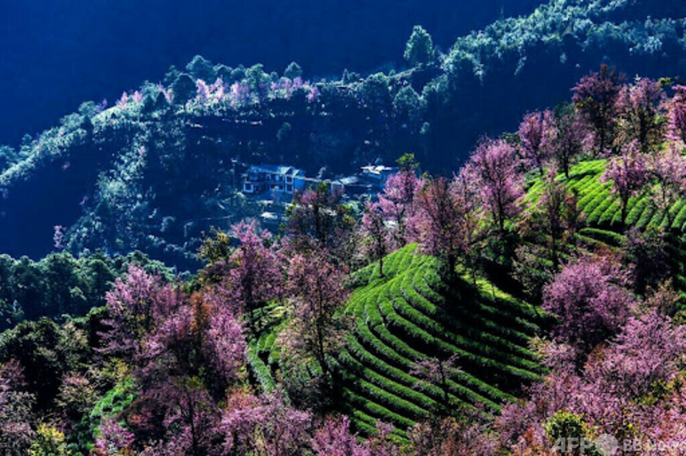 精彩放つ中国の無形文化遺産の保護と伝承 写真3枚 国際ニュース：AFPBB News