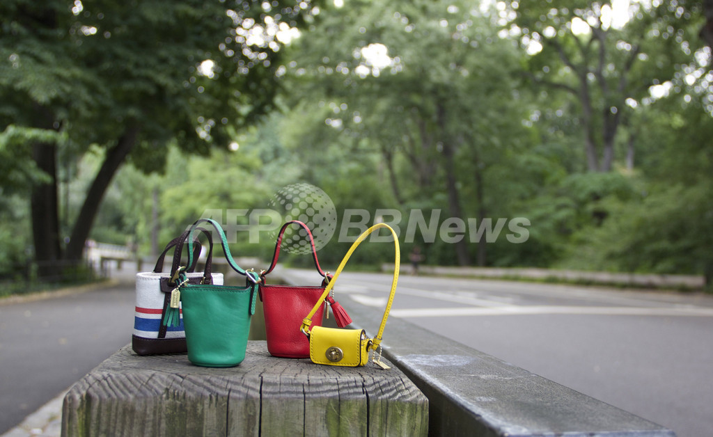 「COACH バービー」発売に先がけ、ウェブキャンペーンを実施