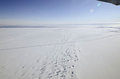南極の上空から撮影したパインアイランド氷河（Pine Island Glacier）に広がる氷床の割れ目（2011年10月26日公開）。(c)AFP/ NASA/DMS